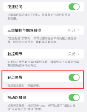 桓仁苹果授权维修站分享iPhone轻点无法唤醒怎么办