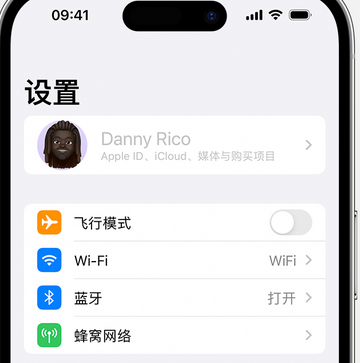 桓仁appleID维修服务iPhone设置中Apple ID显示为灰色无法使用 