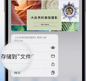 桓仁apple维修中心分享iPhone文件应用中存储和找到下载文件