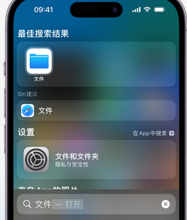 桓仁apple维修中心分享iPhone文件应用中存储和找到下载文件 