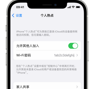 桓仁apple服务站点分享iPhone上个人热点丢失了怎么办 