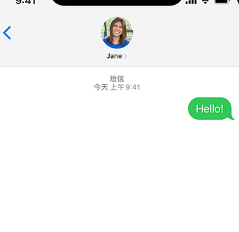 桓仁apple维修iPhone上无法正常发送iMessage信息