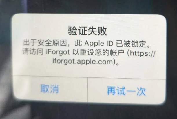 桓仁iPhone维修分享iPhone上正常登录或使用AppleID怎么办 