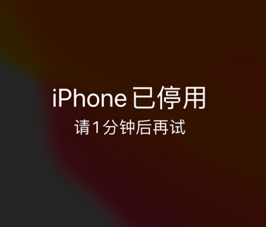 桓仁苹果手机维修分享:iPhone 显示“不可用”或“已停用”怎么办？还能保留数据吗？ 