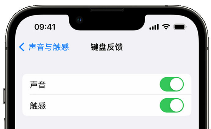 桓仁苹果手机维修分享iPhone 14触感键盘使用方法 