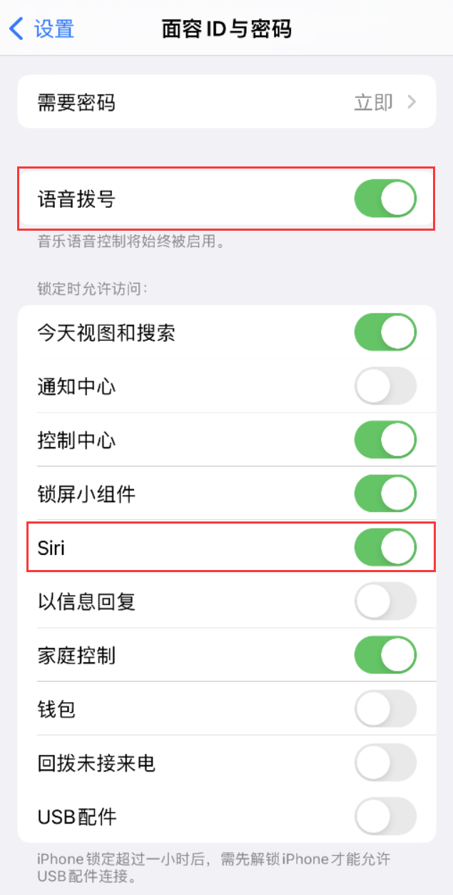 桓仁苹果维修网点分享不解锁 iPhone 的情况下通过 Siri 拨打电话的方法 