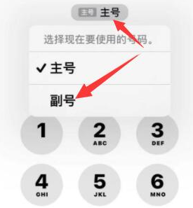 桓仁苹果14维修店分享iPhone 14 Pro Max使用副卡打电话的方法 