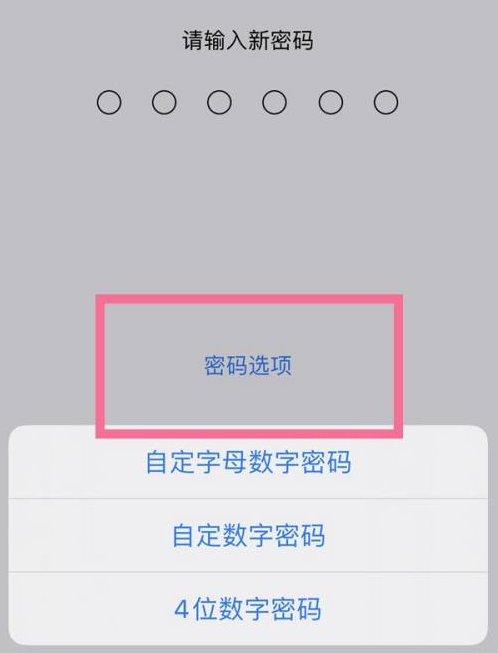 桓仁苹果14维修分享iPhone 14plus设置密码的方法 