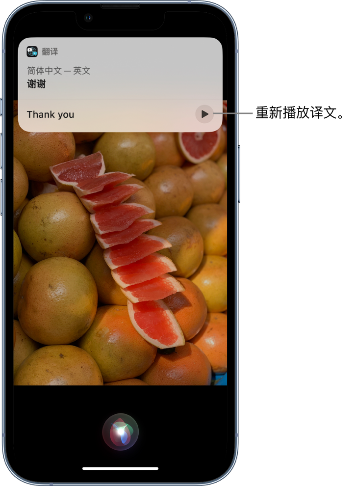 桓仁苹果14维修分享 iPhone 14 机型中使用 Siri：了解 Siri 能帮你做什么 