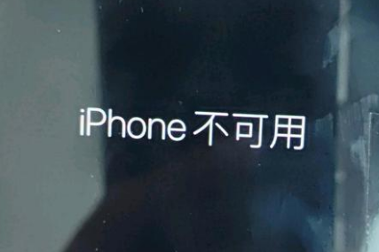 桓仁苹果服务网点分享锁屏界面显示“iPhone 不可用”如何解决 