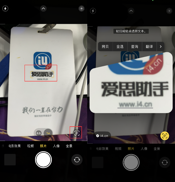 桓仁苹果手机维修分享升级iOS 16后如何通过相机翻译文本 