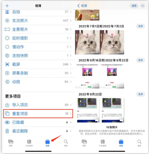 桓仁苹果手机维修分享iOS 16 中相册重复项目功能使用方法 