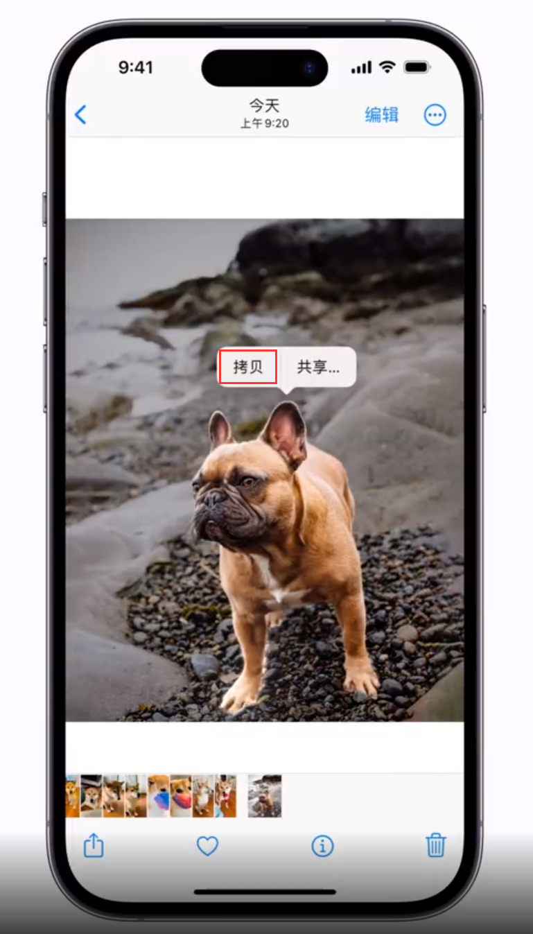 桓仁苹果手机维修分享 iOS 16 自带一键抠图功能 