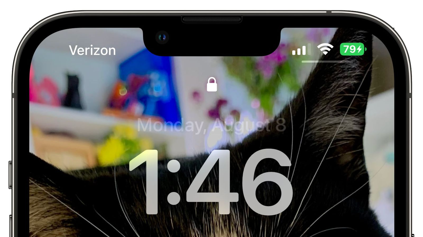 桓仁苹果手机维修分享iOS 16 beta 5 支持状态栏显示电池百分比，如何开启？支持哪些机型 