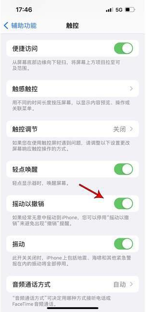 桓仁苹果手机维修分享iPhone手机如何设置摇一摇删除文字 