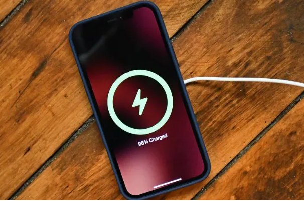 桓仁苹果手机维修分享iPhone如何正确充电 