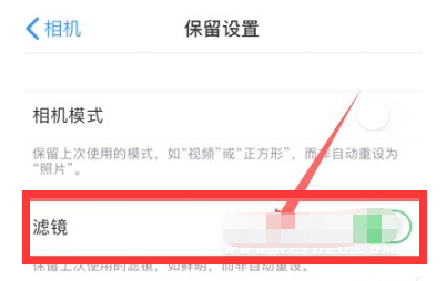 桓仁苹果13维修分享iPhone13拍照有绿点是怎么回事 