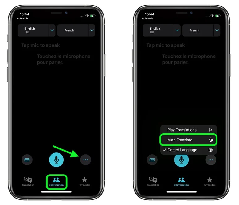 桓仁苹果手机维修分享iOS 15 “翻译” App 新改进 