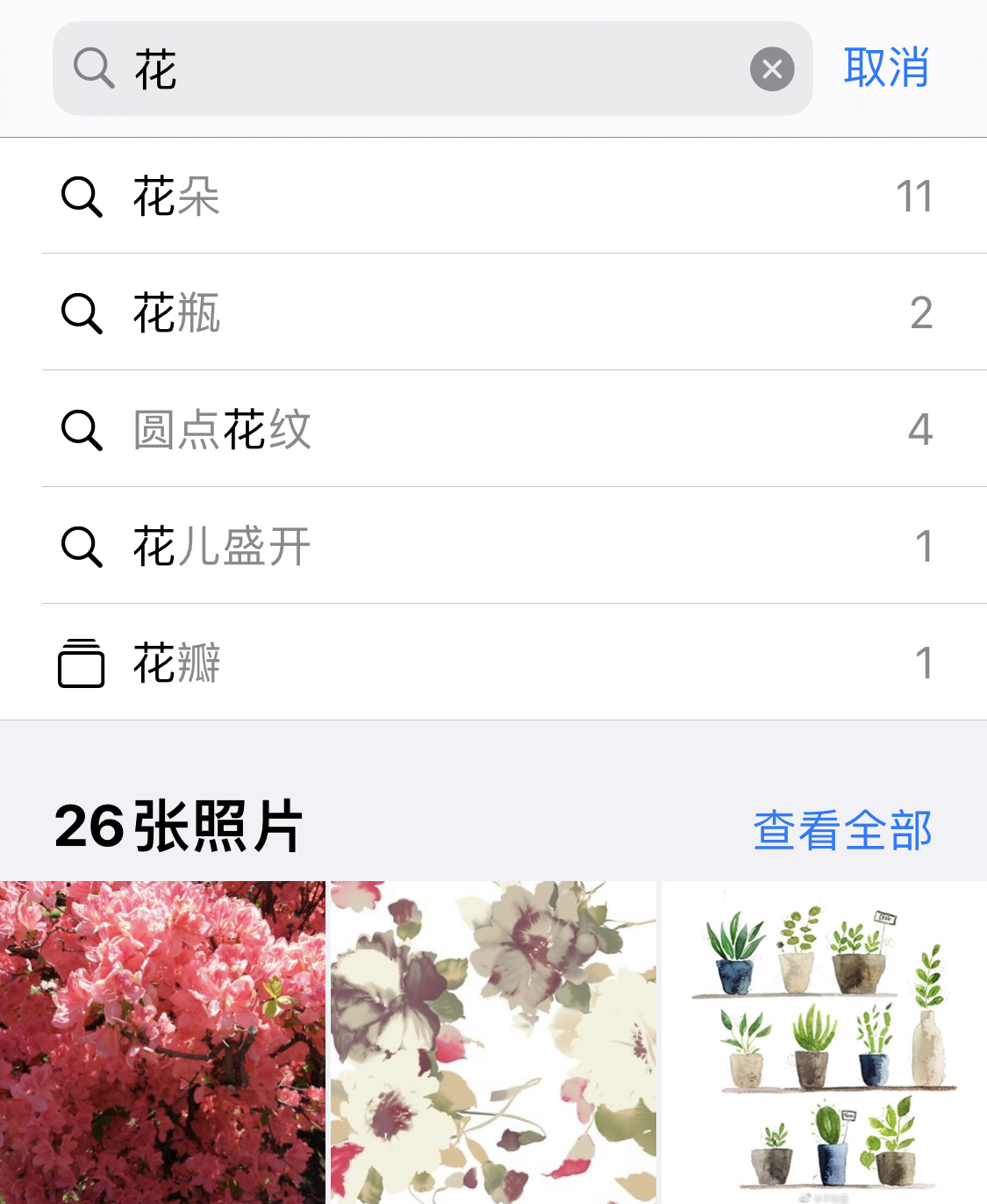 桓仁苹果手机维修分享iPhone 小技巧 